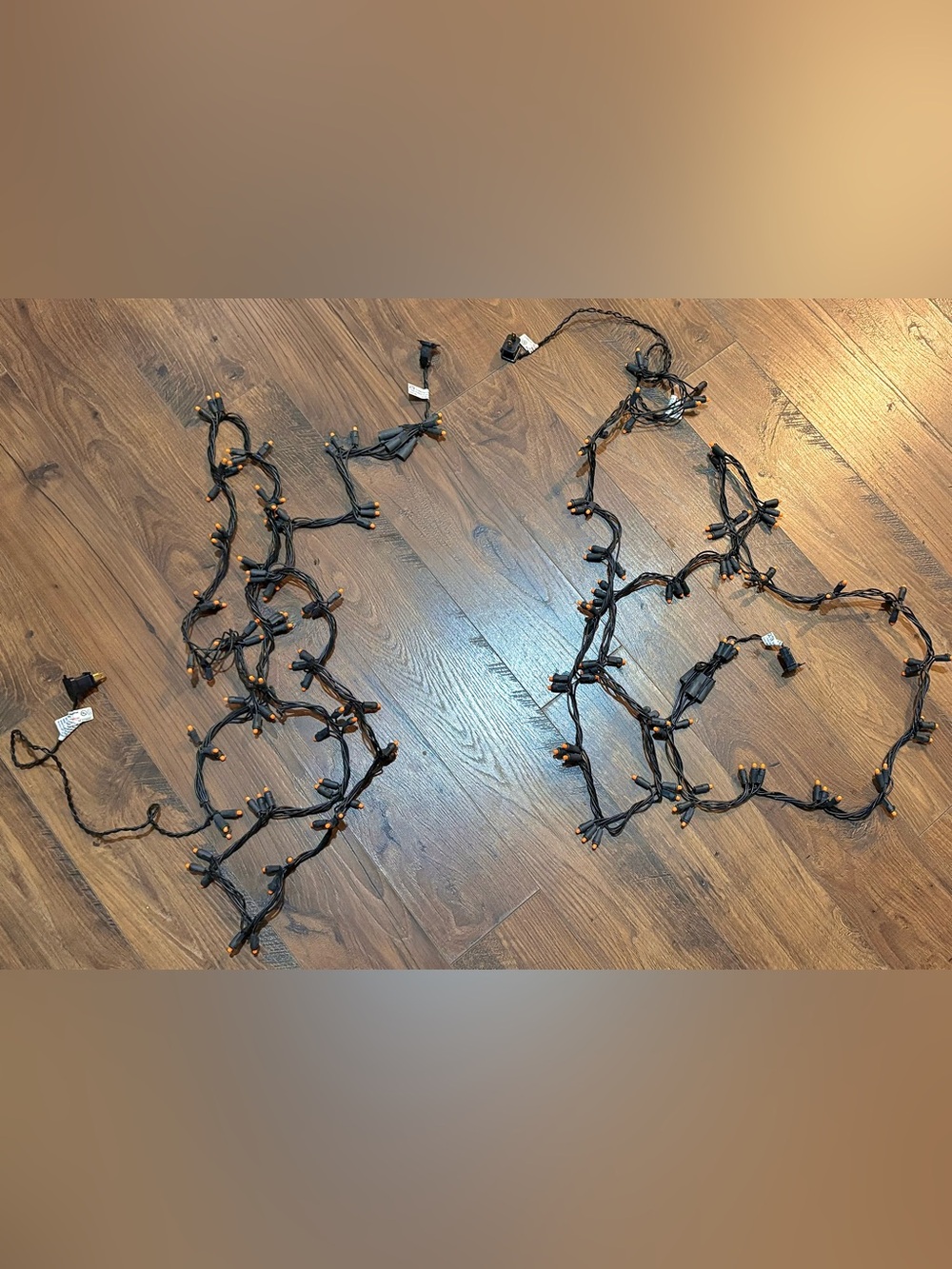 Halloween Premium Black String Lights - Indoor/Outdoor Decorative Lighting